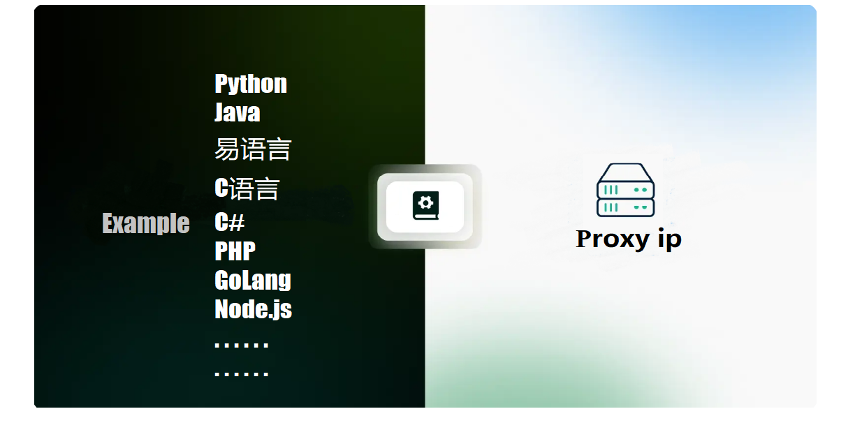 CodeproxyIP